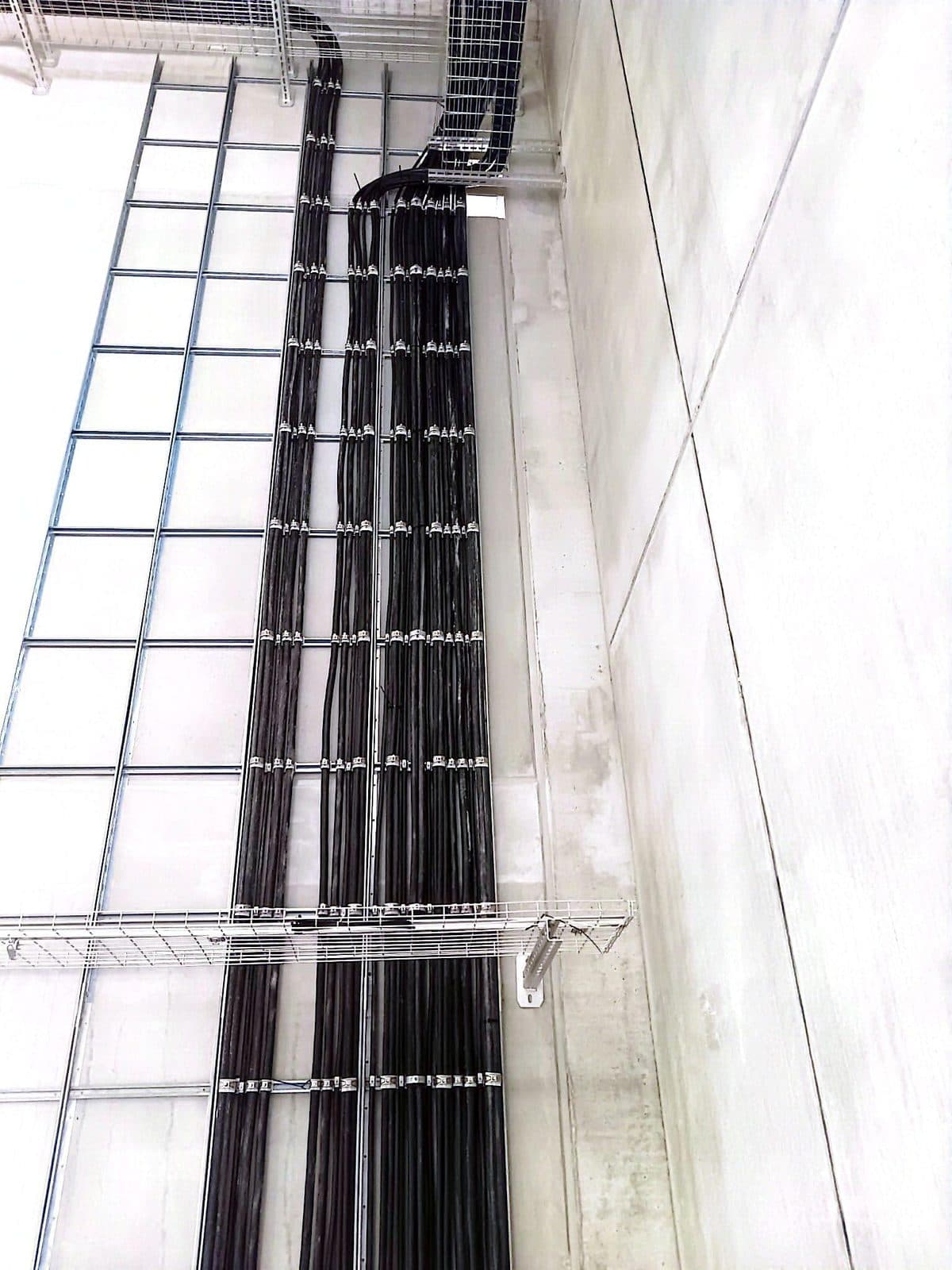Parallel verlegte schwarze Kabel in einer Gitterrinne an einer weißen Wand, mit Schellen befestigt